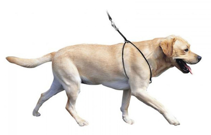 Purina Petlife LUPI Dog Harness 3 Sizes