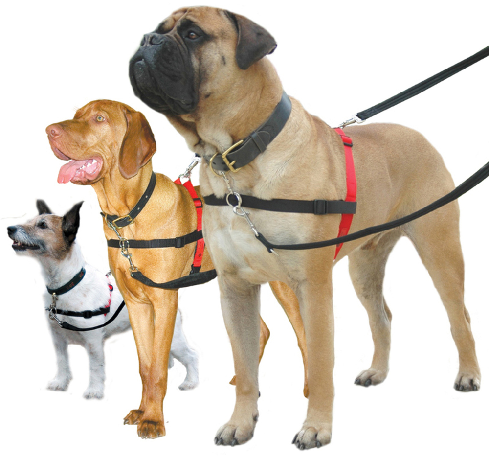[3 Sizes] Petlife Halti Dog Harness Pet Puppy Dog