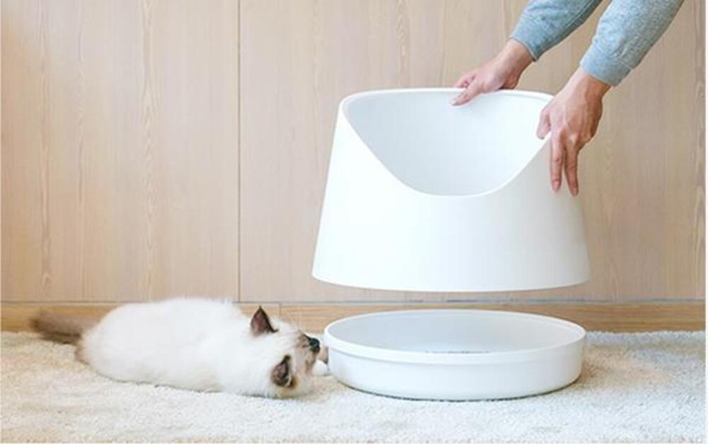 Best Litter Boxes for High Spraying Cats High Side Litter Boxes