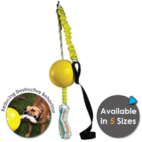 Aussie Dog Home Alone Dog Toy