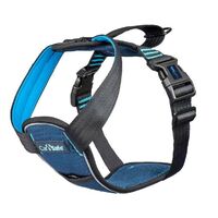 Company of Animals Carsafe Crash Tested Dog Harness