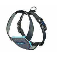 Company Of Animals Carsafe Travel Dog Safety Harness Black 