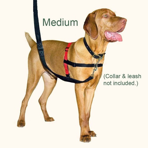 Purina Petlife Halti Dog Harness - Medium