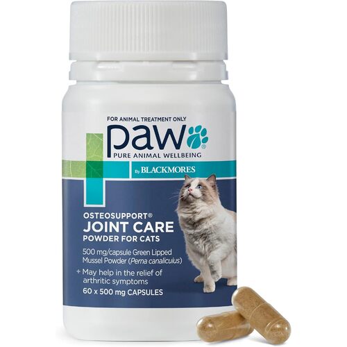 PAW BLACKMORES Osteosupport Powder Cat 60 Capsules