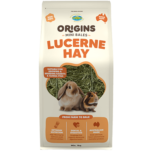 Vetafarm Origins Mini Bale Lucerne Hay 1Kg 