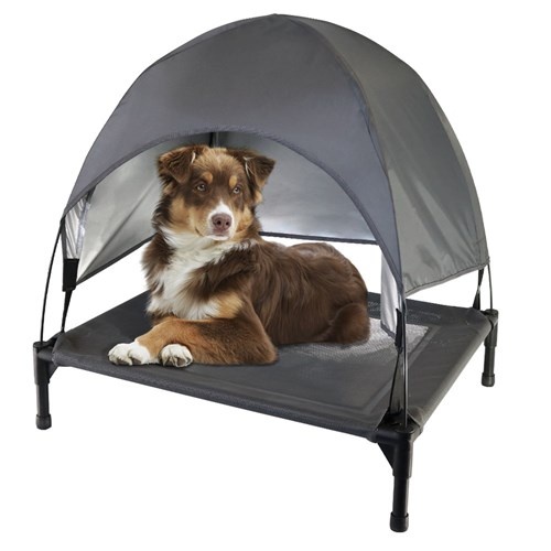 Elevated Dog Bed Trampoline Cot With Canopy Medium